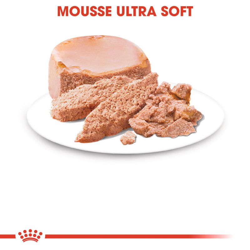 Starter Mousse Mother & Babydog 6 lattine - Umido per Cani