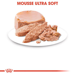 Starter Mousse Mother & Babydog 6 lattine - Umido per Cani