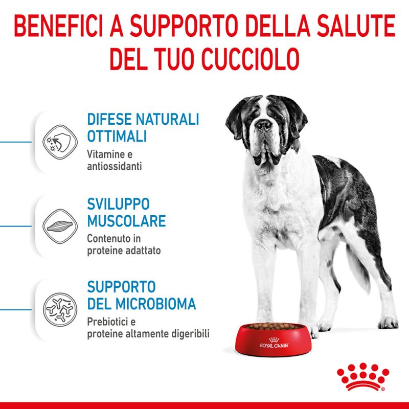 Giant Junior - Crocchette per Cani