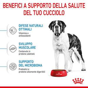 Giant Junior - Crocchette per Cani