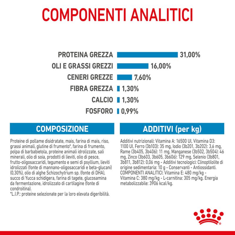 Giant Junior - Crocchette per Cani