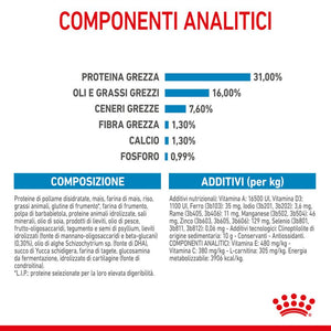 Giant Junior - Crocchette per Cani