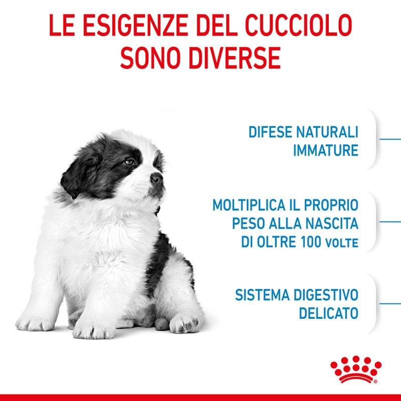 Giant Puppy - Crocchette per Cani