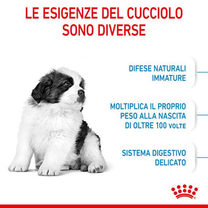 Giant Puppy - Crocchette per Cani