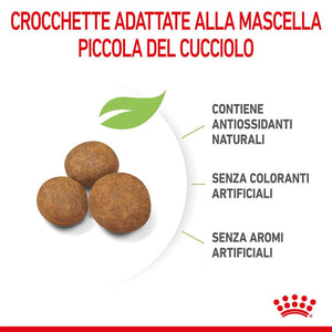 Giant Puppy - Crocchette per Cani