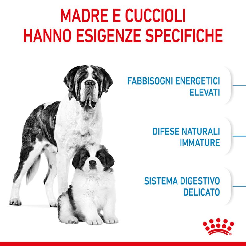Giant Starter Mother & Babydog - Crocchette per Cani
