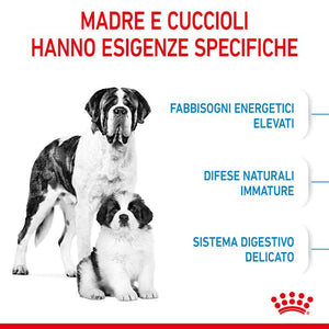 Giant Starter Mother & Babydog - Crocchette per Cani
