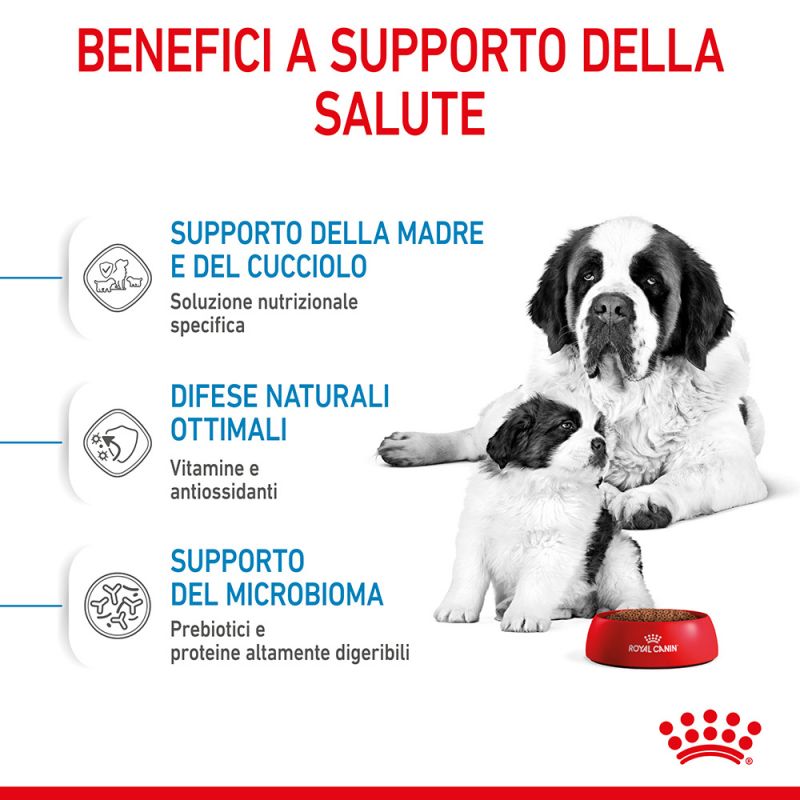 Giant Starter Mother & Babydog - Crocchette per Cani