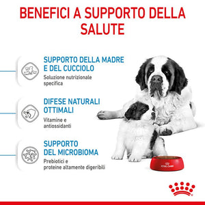 Giant Starter Mother & Babydog - Crocchette per Cani