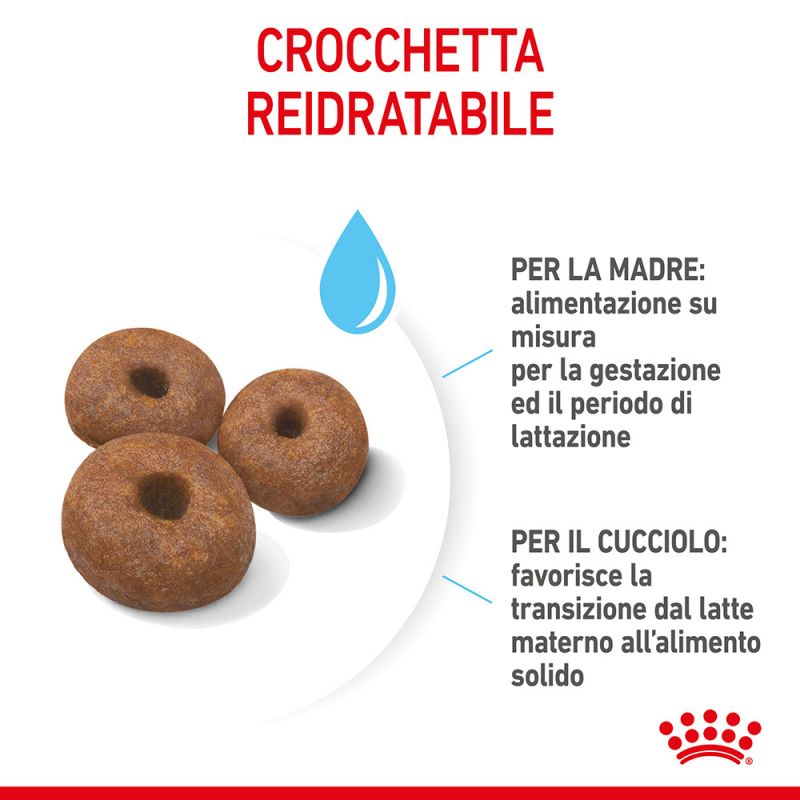Giant Starter Mother & Babydog - Crocchette per Cani