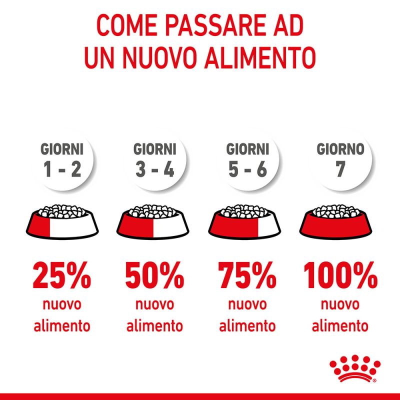 Giant Starter Mother & Babydog - Crocchette per Cani