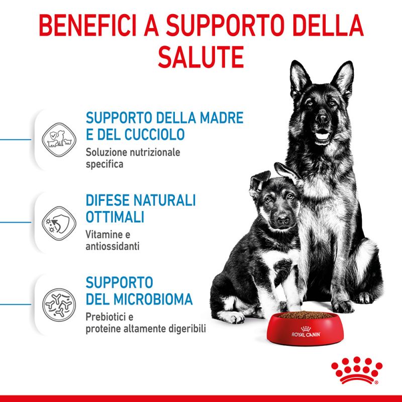 Maxi Starter Mother & Babydog - Crocchette per Cani