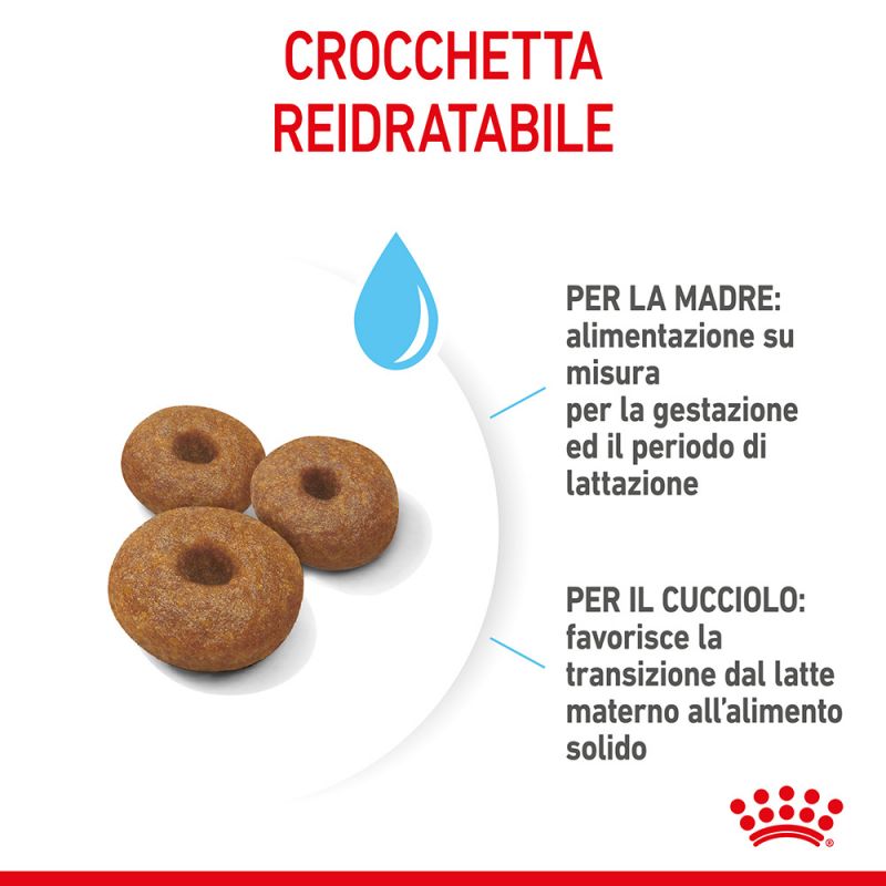 Maxi Starter Mother & Babydog - Crocchette per Cani