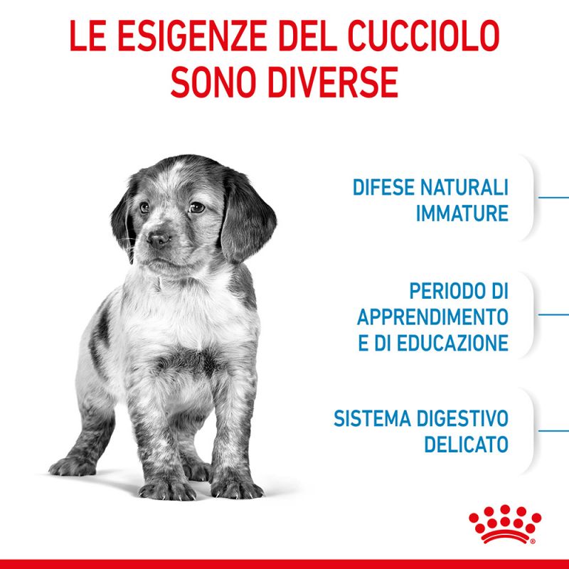 Medium Puppy  - Crocchette per Cani