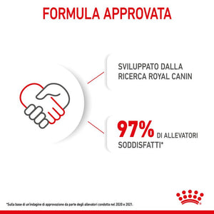 Mini Puppy - Multipack Umido per Cani