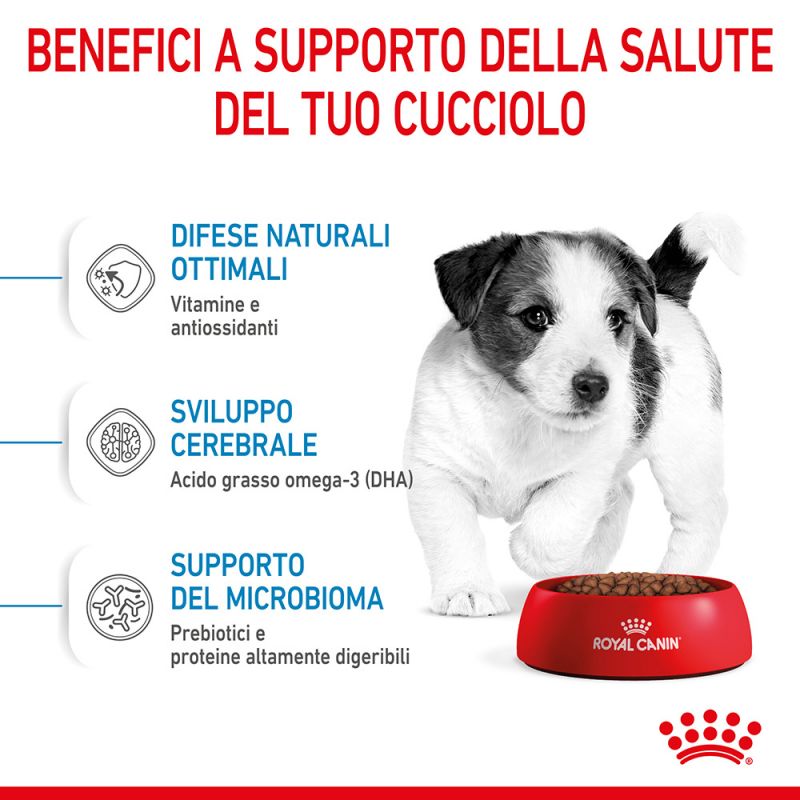 Mini Puppy - Multipack Umido per Cani