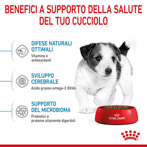 Mini Puppy - Multipack Umido per Cani