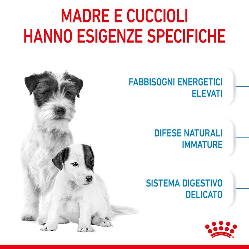 Mini Starter Mother & Babydog - Crocchette per Cani