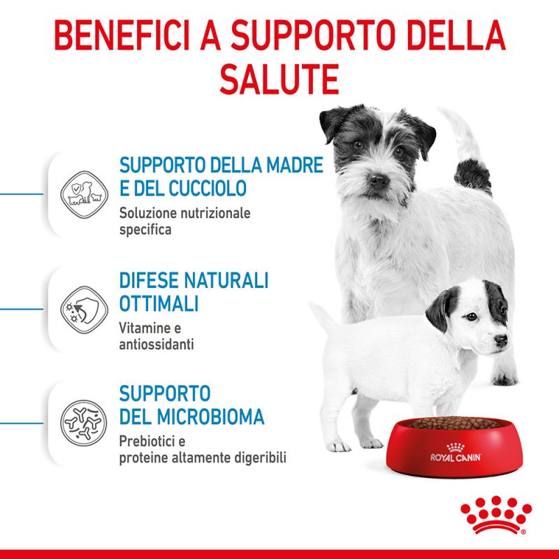 Mini Starter Mother & Babydog - Crocchette per Cani