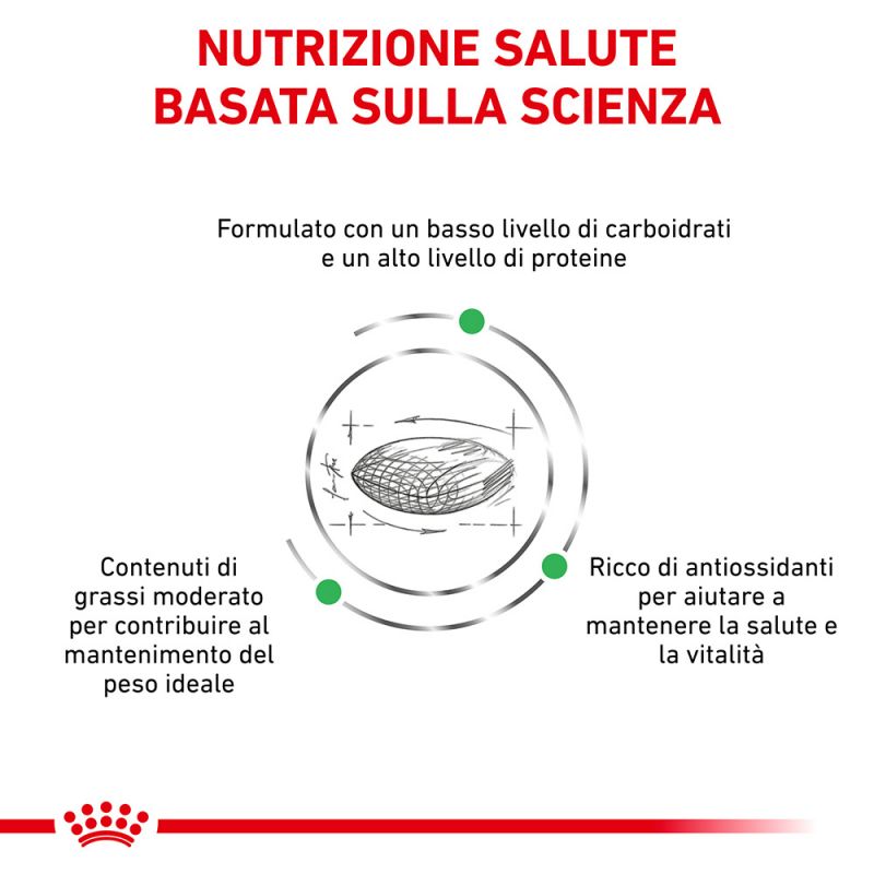 Diabetic - Crocchette per Gatti