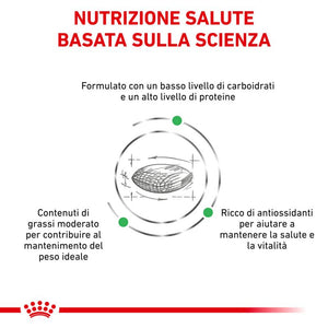Diabetic - Crocchette per Gatti