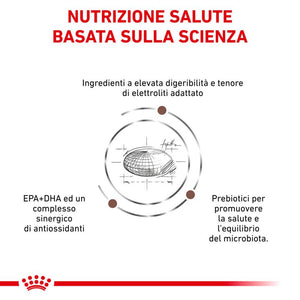 Gastroinstestinal Dog - Crocchette per Cane