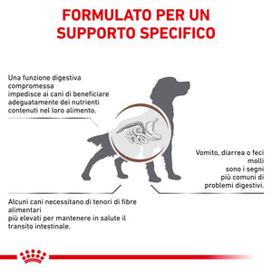 Gastroinstestinal High Fibre - Crocchette per Cane
