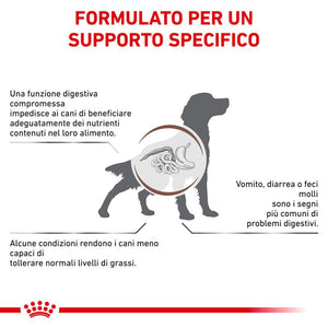 Gastroinstestinal Low Fat - Crocchette per Cane