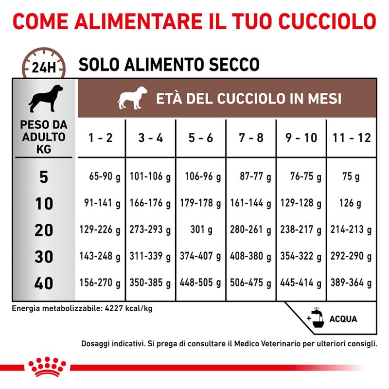 Gastrointestinal Puppy - Pack Umido per Cani - Multipack