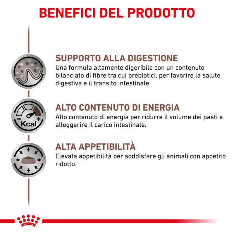 Gastrointestinal Lattine- Umido per Cani