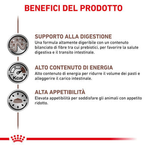 Gastrointestinal Lattine- Umido per Cani
