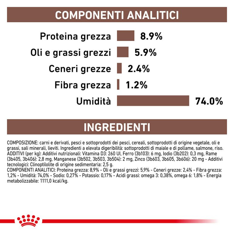 Gastrointestinal Lattine- Umido per Cani