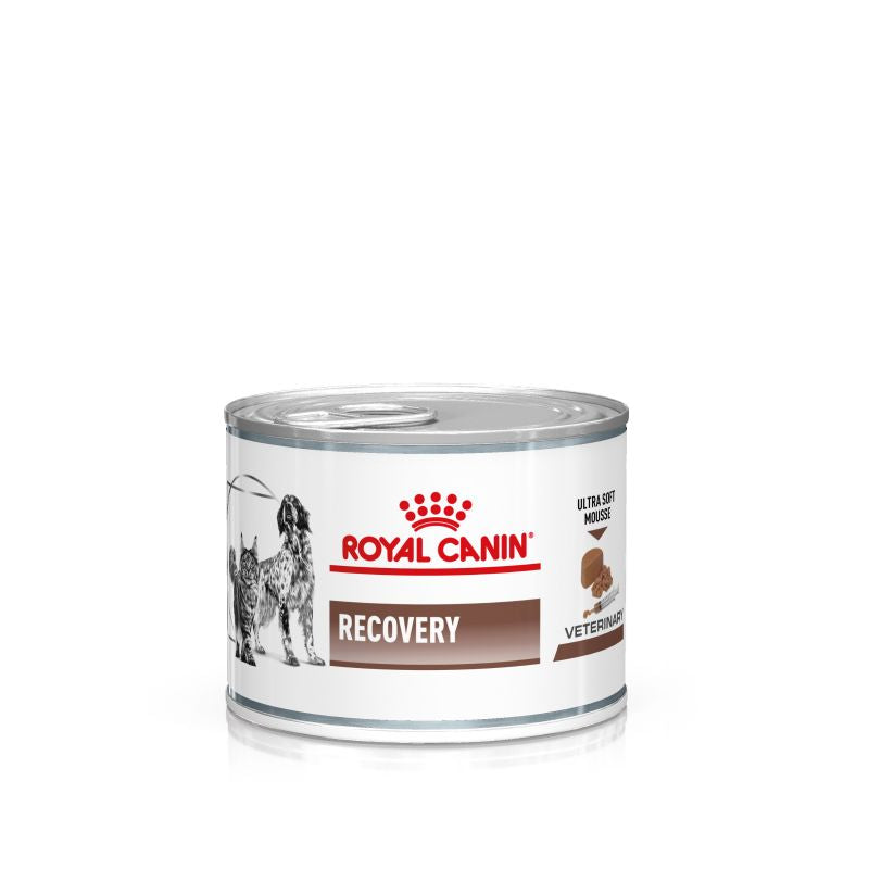 Recovery (Lattine)- Umido per Cani