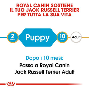 Jack Russell Terrier Puppy  - Crocchette per Cani