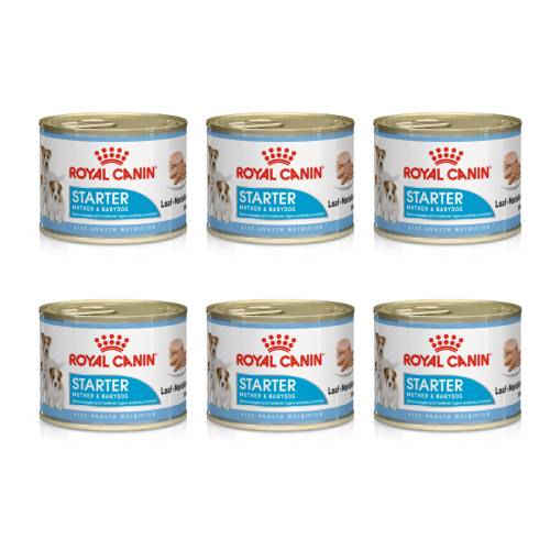 Starter Mousse Mother & Babydog 6 lattine - Umido per Cani