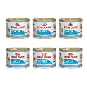 Starter Mousse Mother & Babydog 6 lattine - Umido per Cani